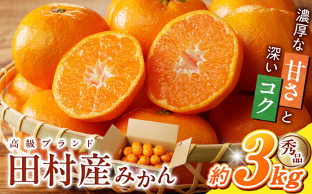 G7339_高級ブランド 秀品 紀州有田田村産みかん 3kg 濃厚 糖度 酸味 バランス 甘さ コク 国産 みかん 有田みかん フルーツ 果物 果実 デザート おやつ お取り寄せ お取り寄せフルーツ 和歌山県 湯浅町 送料無料