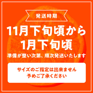G7339_高級ブランド 秀品 紀州有田田村産みかん 3kg 濃厚 糖度 酸味 バランス 甘さ コク 国産 みかん 有田みかん フルーツ 果物 果実 デザート おやつ お取り寄せ お取り寄せフルーツ 和歌山県 湯浅町 送料無料