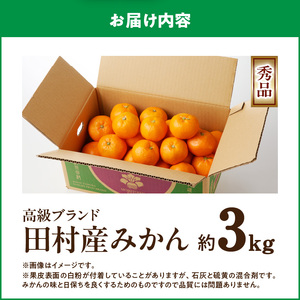 G7339_高級ブランド 秀品 紀州有田田村産みかん 3kg 濃厚 糖度 酸味 バランス 甘さ コク 国産 みかん 有田みかん フルーツ 果物 果実 デザート おやつ お取り寄せ お取り寄せフルーツ 和歌山県 湯浅町 送料無料