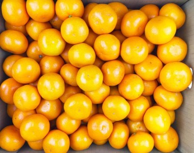 【小粒サイズ】旨味凝縮有田みかん約10kg (SまたはSSサイズ) どちらかおまかせ 【大晏】