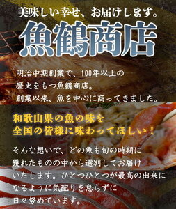 G7004_大型サイズ ふっくら柔らか 国産うなぎ 蒲焼き 容量 発送時期 土用の丑の日 お取り寄せ お取り寄せグルメ