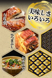 G7004_大型サイズ ふっくら柔らか 国産うなぎ 蒲焼き 容量 発送時期 土用の丑の日 お取り寄せ お取り寄せグルメ