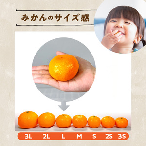 MK1048_訳あり それでも みかん 箱込 2.5kg ( 内容量 2.3kg ) サイズミックス Ｂ品 有田みかん 和歌山県産 産地直送 家庭用【みかんの会】