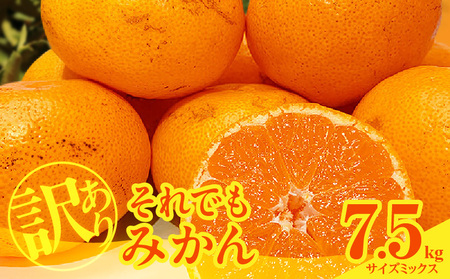 MK1049_2月28日終了！ 最短出荷すぐ届く！訳あり それでも みかん 箱込 7.5kg ( 内容量 6.8kg ) サイズミックス Ｂ品 有田みかん 和歌山県産 産地直送 家庭用【みかんの会】