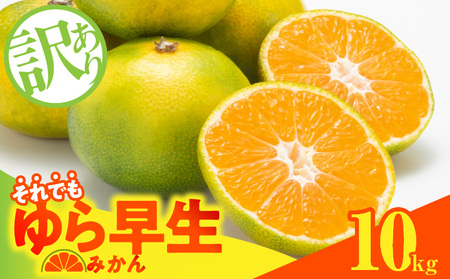 MK1066_【2026先行予約】訳あり ゆら早生 みかん 箱込 10kg ( 内容量 9.2kg ) サイズミックス 有田みかん 和歌山県産