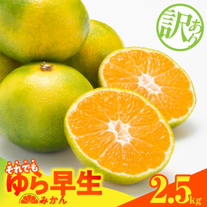 MK1069_【2026先行予約】訳あり ゆら早生 みかん 箱込 2.5kg ( 内容量 2.3kg ) サイズミックス 有田みかん 和歌山県産 7,020円