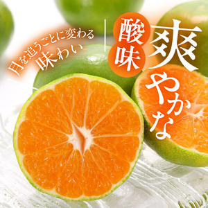 MK1082_【2026年先行予約】訳あり みかん 極早生 箱込 10kg ( 内容量 9.2kg ) サイズミックス 有田みかん 和歌山県産