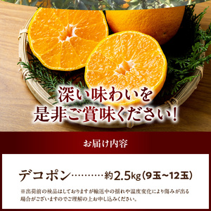 BD7008_【2026年先行予約】和歌山有田産 デコポン秀品のみ！ 2.5kg（9～12玉）