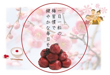 YD1002_紀州南高梅しそ漬つぶれ（塩分約15％）700ｇ×2