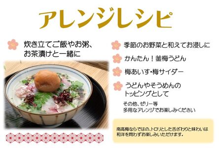 YD1007_紀州南高梅プレミアム塩分約3％（500ｇ）