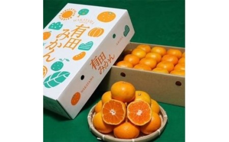 和歌山の有田みかん約5kg 化粧箱入りSサイズ 【 あしのや 】