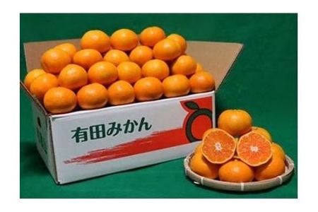 和歌山の有田みかん5kg Sサイズ 【 あしのや 】