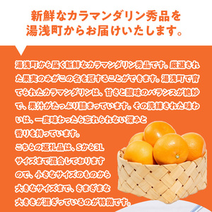 ZE6500_【2026年先行予約】和歌山県産 カラマンダリン 3kg 秀品
