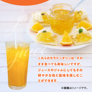 ZE6500_【2026年先行予約】和歌山県産 カラマンダリン 3kg 秀品