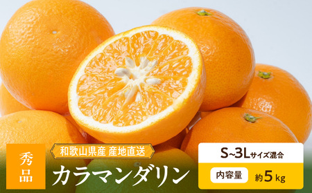 ZE6501_【2026年先行予約】和歌山県産　カラマンダリン　5kg　秀品