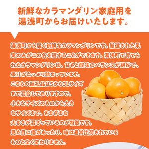 ZE6502_【2026年先行予約】和歌山県産　カラマンダリン　3kg　家庭用