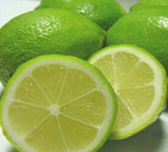 AB6012n_【国産】紀州和歌山産 有田レモン 3kg (サイズ混合)