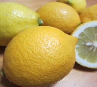 AB6012n_【国産】紀州和歌山産 有田レモン 3kg (サイズ混合)