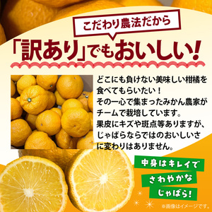 AB6013n_【国産】紀州和歌山の じゃばら 果実 【訳あり ジャバラ 家庭用】 3kg