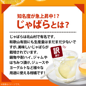 AB6013n_【国産】紀州和歌山の じゃばら 果実 【訳あり ジャバラ 家庭用】 3kg