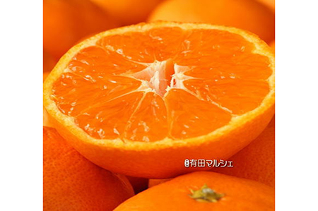 有田みかん プレミアム 5kg 【有田マルシェ】