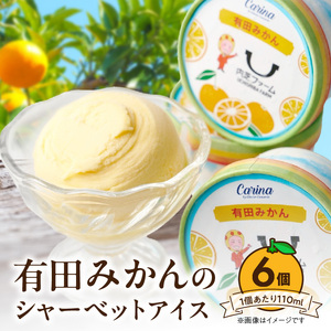 ZE6512_有田みかんシャーベットアイス　　6個入り