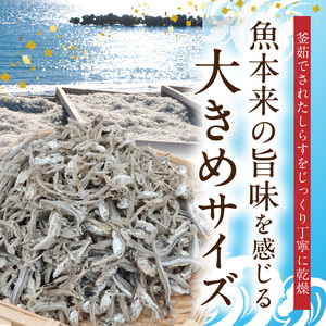 H6022_かえりちりめん100ｇ×3P【数量限定】