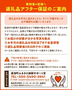 DZ6220_家庭用 有田みかん 和歌山 小玉(2S,3Sサイズ混合) 約2kg