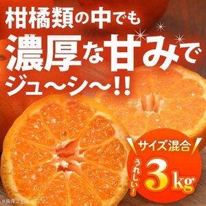 AB6053n_(先行予約)【極甘柑橘】有田育ちの 濃厚 ポンカン 【訳あり 家庭用】3kg (サイズ混合)