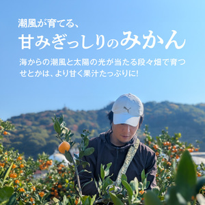 DZ6230_ご家庭用 せとか 和歌山 有田 2S~3Lサイズ 大きさお任せ 約2kg