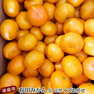 DZ6201_01_【2026年1月発送】ご家庭用 有田みかん 和歌山 S～Lサイズ 大きさお任せ 約10kg