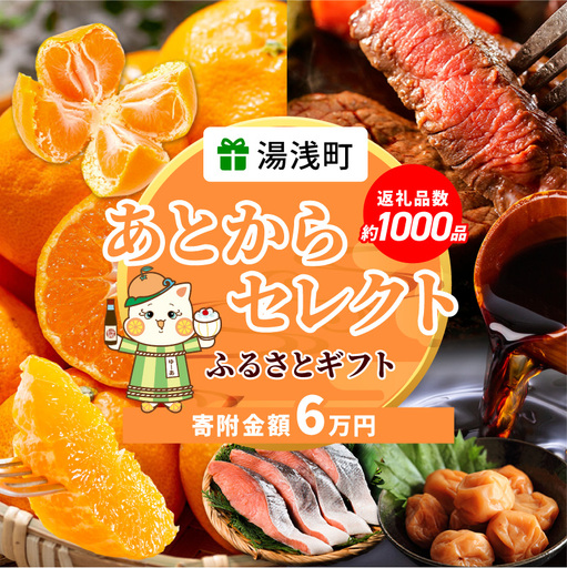 ZZ1010_あとからセレクト【ふるさとギフト】6万円