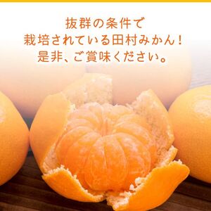 AB7431_《2025年11月~発送》【和歌山特産品】【プレミアムブランド】絶品 田村みかん 秀品 Sサイズ 約5kg