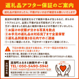 DZ6233_特選 有田みかん 和歌山 S～Lサイズ 大きさお任せ 約3kg