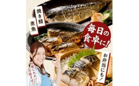 G7321_塩さばフィレ14枚入(真空パック入)