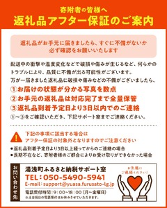 BB6061_和歌山由良町産 はっさく 約10kg (訳あり)(ご家庭用) サイズ混合 (S～3L)