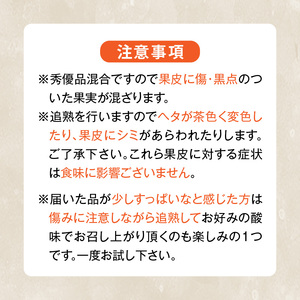 MK1017_不知火 (しらぬい) とにかく小玉 箱込 5kg (内容量約4.4kg) 秀品 優品 混合