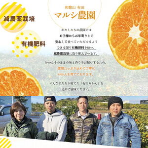 BF6005n_【数量限定】【赤秀特選品】有田みかん S, Мサイズ 約5kg