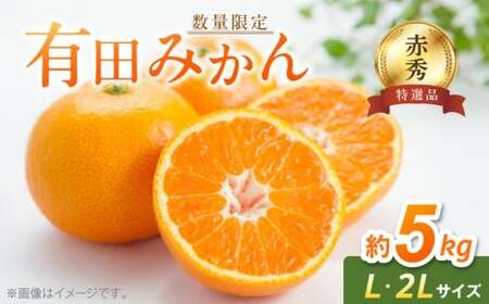 BF6006n_【数量限定】【赤秀 特選品】 有田みかん L,2Lサイズ 約5kg 【ミカン 蜜柑 柑橘 温州みかん 有田みかん 和歌山 贈答 ギフト】