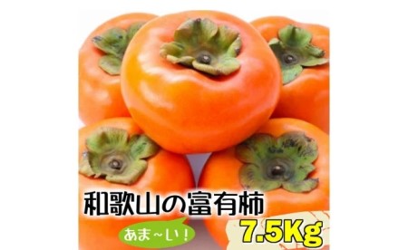 BD6024_人気の秋の味覚【和歌山の富有柿】7.5kg!ギフトにも!