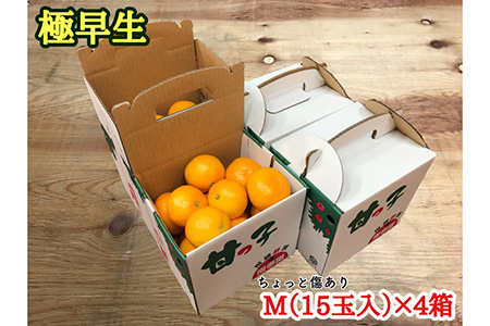 《手さげ箱》ちょっと傷【極早生・有田みかん】Mサイズ15個入×4箱 【南泰園】