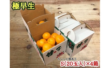 《手さげ箱》ちょっと傷【極早生・有田みかん】Sサイズ20個入×4箱 【南泰園】