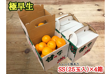 《手さげ箱》ちょっと傷【極早生・有田みかん】SSサイズ25個入×4箱 【南泰園】