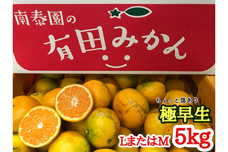 ちょっと傷あり【極早生・有田みかん】LまたはMサイズ/約5kg 【南泰園】