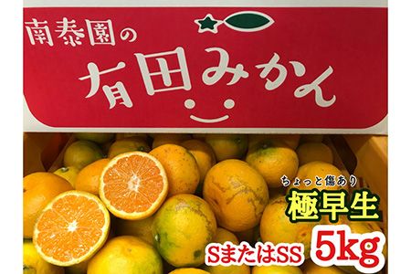 ちょっと傷あり【極早生・有田みかん】SまたはSSサイズ/約5kg 【南泰園】