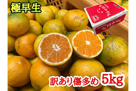 訳あり傷多め【極早生・有田みかん】約5kg(サイズおまかせ)【南泰園】