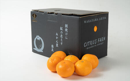 マルユー園のこだわり有田みかん特選約3kg 【マルユー園】