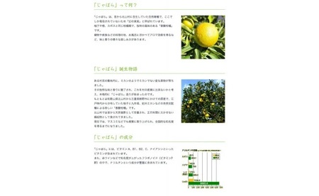 V7160_じゃばらポン酢 360ml×3本 じゃぽん花粉対策の蛇腹 ジャバラ 化学調味料・防腐剤不使用