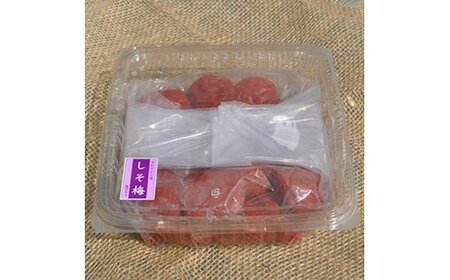 V6198_【ご家庭用】訳ありしそ梅干し800g 紀州うめぼし わけあり 和歌山県産 紀伊国屋文左衛門本舗