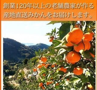 G7045_紀州 有田産 濃厚甘熟 温州みかん 5kg【家庭用 訳あり】